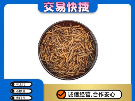 延边和龙市高价回收散虫草